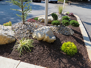 Newton, NJ - Rock garden in commercial parking lot island at a local bank - Vreeland Brothers Landscaping