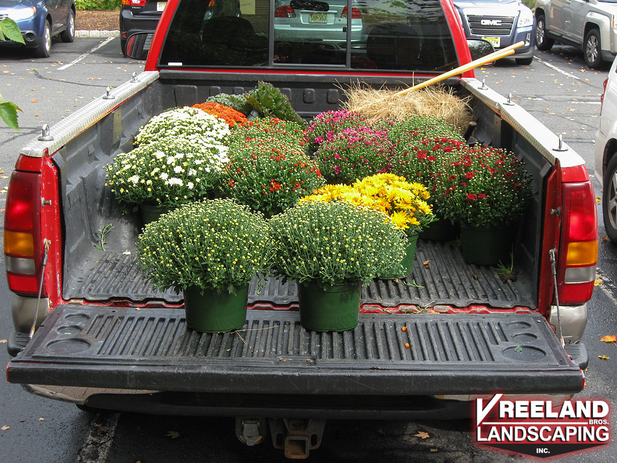 Oak Ridge, NJ, Delivery of seasonal plantings for fall color to a corporate campus in North Jersey 