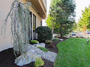 Newton, NJ - Commercial landscaping around local bank - Vreeland Landscapes