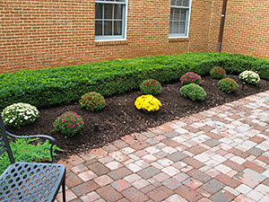 Oak Ridge, NJ - Seasonal Color plantings and fresh mulch install on a corporate campus maintained by Vreeland Brothers Landscaping - Vreeland Landscapes