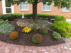 Oak Ridge, NJ - Seasonal Color plantings and fresh mulch install on a corporate campus maintained by Vreeland Brothers Landscaping - Vreeland Landscapes