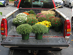 Oak Ridge, NJ - Delivery of seasonal plantings for fall color to a corporate campus in North Jersey - Vreeland Brothers Landscaping