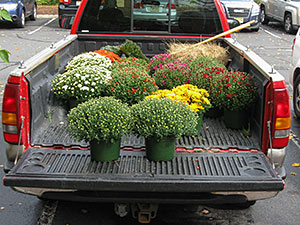 Oak Ridge, NJ - Delivery of seasonal plantings for fall color to a corporate campus in North Jersey - Vreeland Landscapes